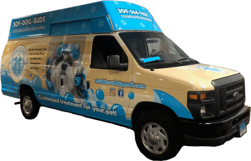 Best Mobile Dog Groomers Near Me | Thumbtack